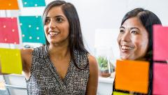 了解更多关于及赦咨询的信息
